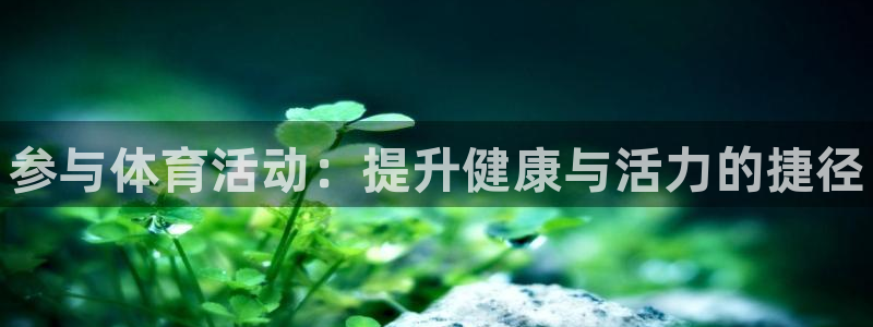 尊龙官方正版app集团官网首页网址：参与体育活动：提
