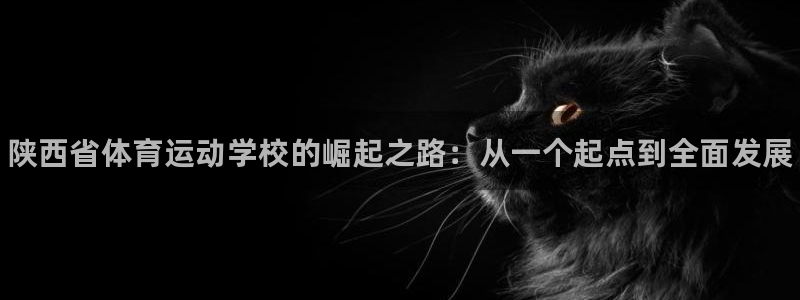 尊龙官网下载平台是正规平台吗知乎：陕西省体育运动学校