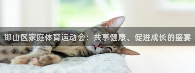 德国尊龙官方正版app集团：邯山区家庭体育运动会：共