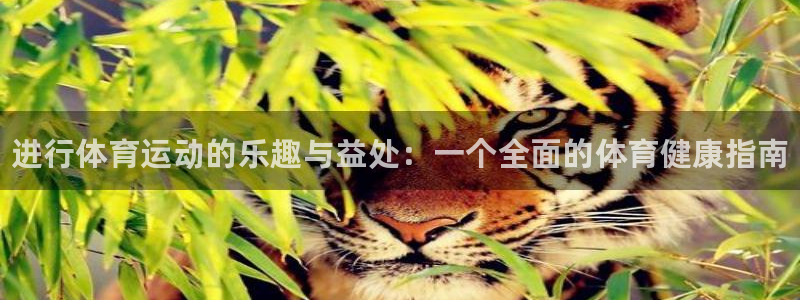 尊龙官方正版app开户：进行体育运动的乐趣与益处：一