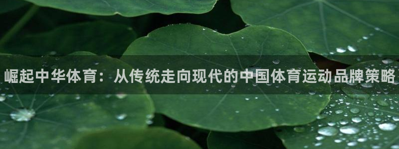 尊龙官网下载娱乐：崛起中华体育：从传统走向现代的中国