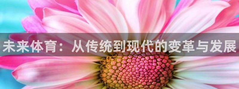 尊龙官网下载联系电话：未来体育：从传统到现代的变革与发展