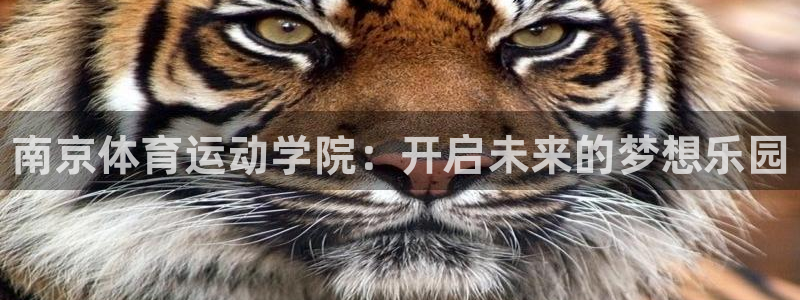 尊龙官网下载：南京体育运动学院：开启未来的梦想乐园
