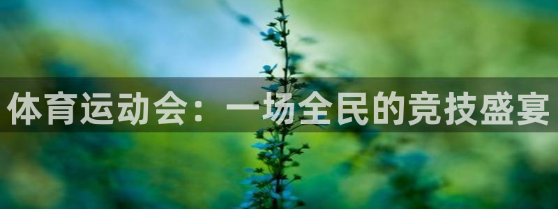 尊龙官网下载平台假的吗是真的吗吗：体育运动会：一场全