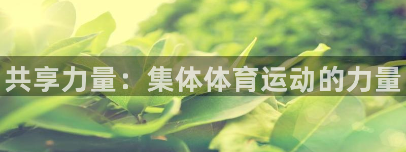 尊龙官网下载平台APP：共享力量：集体体育运动的力量
