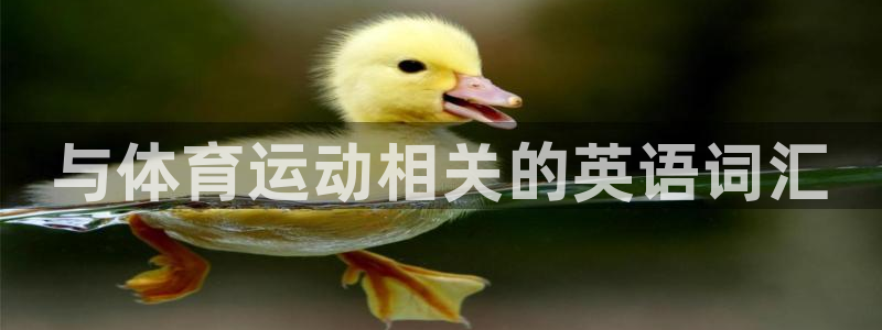 尊龙官方正版app科技：与体育运动相关的英语词汇