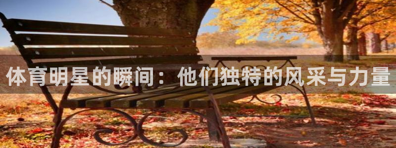 尊龙官方正版app五金厂：体育明星的瞬间：他们独特的