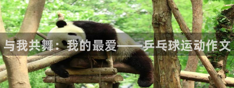 尊龙官网下载招商：与我共舞：我的最爱——乒乓球运动作