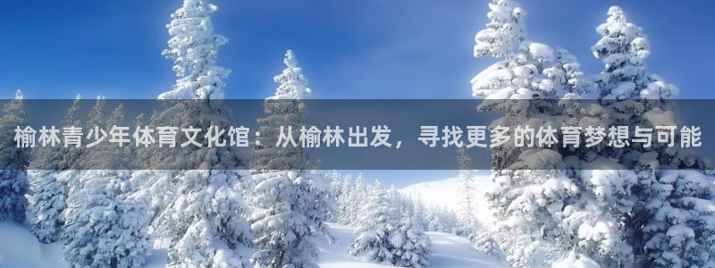 尊龙官网下载平台是正规平台吗：榆林青少年体育文化馆：