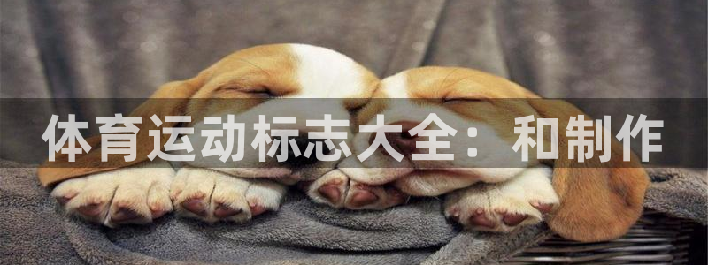 尊龙官网下载平台注册要钱吗是真的吗：体育运动标志大全：和制作