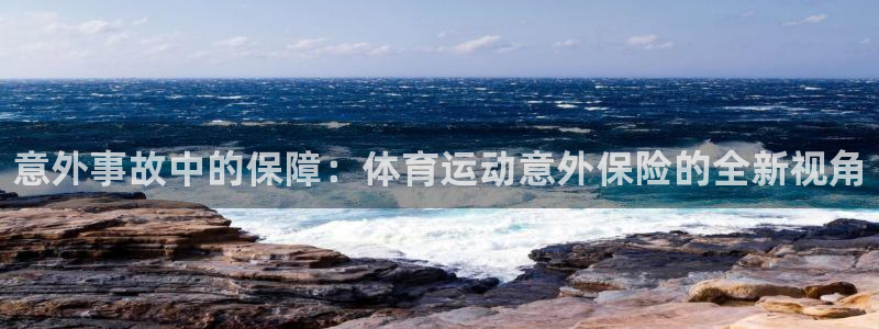 尊龙官方正版app新能源