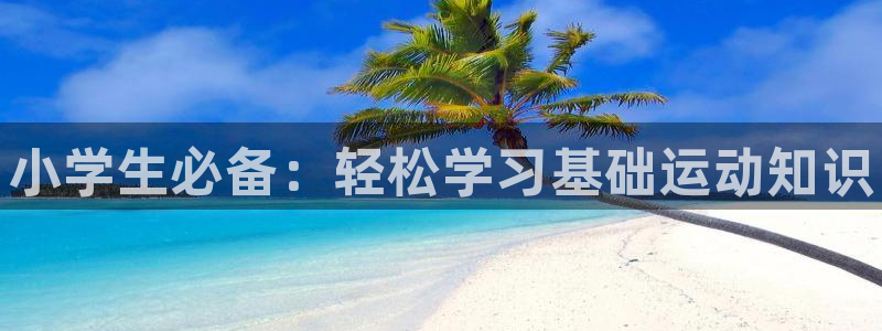 尊龙官网下载平台注册流程视频：小学生必备：轻松学习基