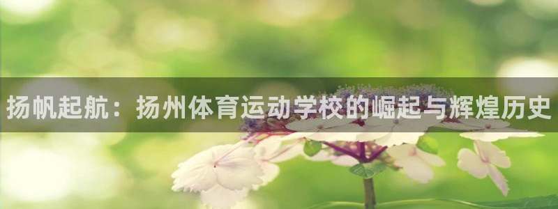 尊龙官方正版app集团：扬帆起航：扬州体育运动学校的崛起与辉