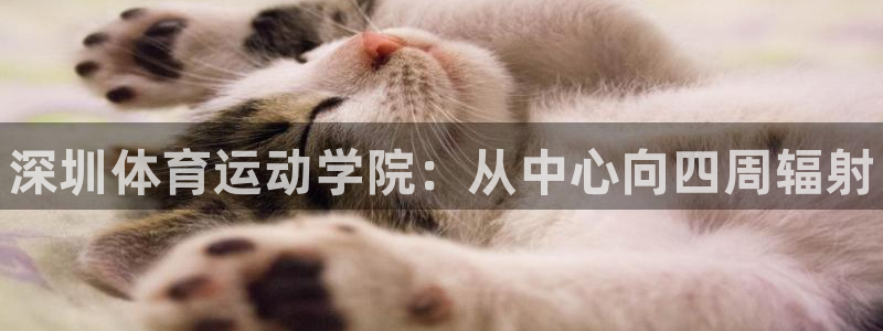 尊龙官方正版app官网：深圳体育运动学院：从中心向四周辐射