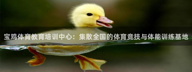 尊龙官网下载平台APP