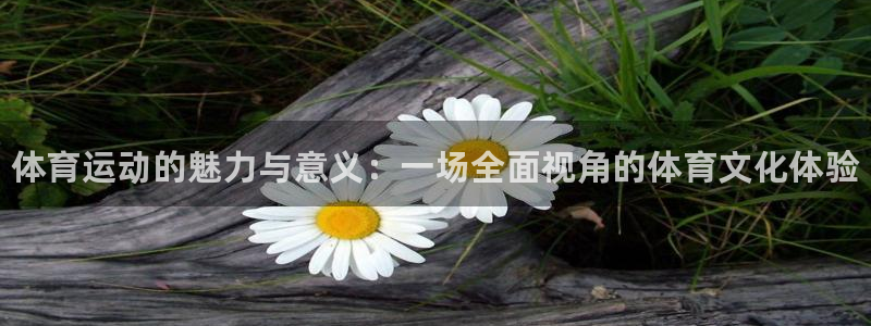 尊龙官网下载平台是正规平台吗知乎：体育运动的魅力与意义：一场