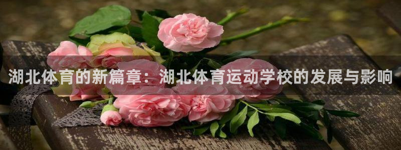 尊龙官方正版app娱乐