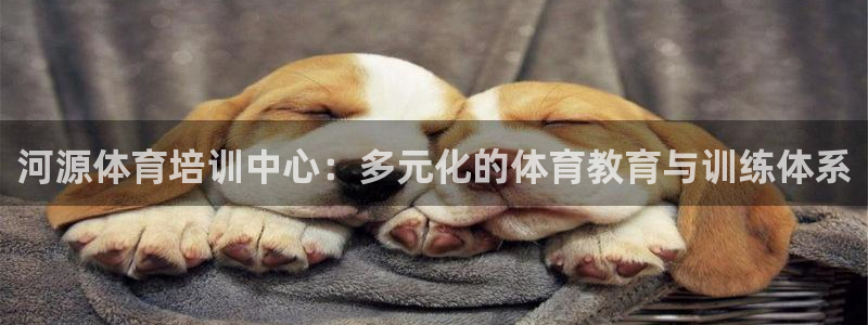尊龙官网下载平台注册流程视频：河源体育培训中心：多元化的体育