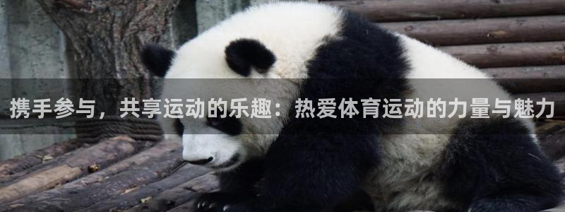 尊龙官方正版app娱乐平台：携手参与，共享运动的乐趣：热爱体