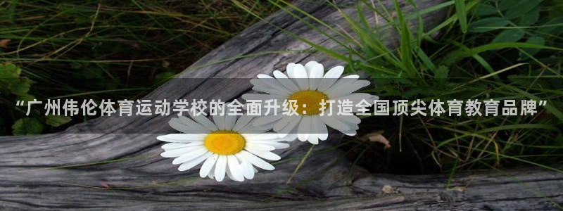尊龙官方正版app神州：“广州伟伦体育运动学校的全面升级：打