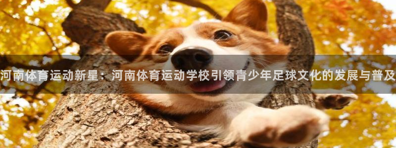 海南尊龙官网下载：河南体育运动新星：河南体育运动学校引领青少