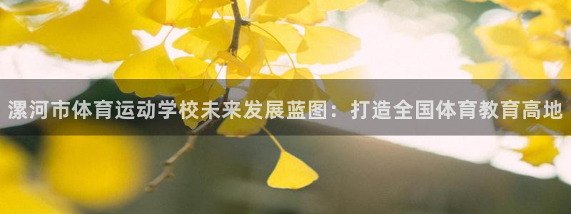 尊龙官网下载平台是正规平台吗