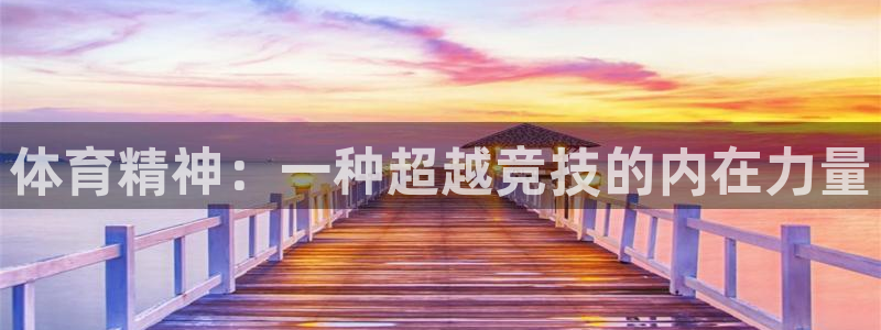 尊龙官方正版app新能源：体育精神：一种超越竞技的内在力量