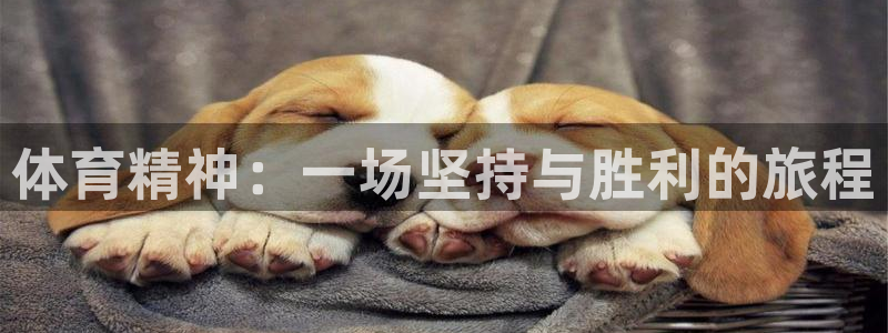 尊龙官网下载平台注册要钱吗