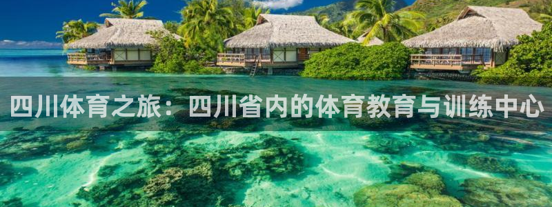 尊龙官网下载平台APP：四川体育之旅：四川省内的体育教育与训