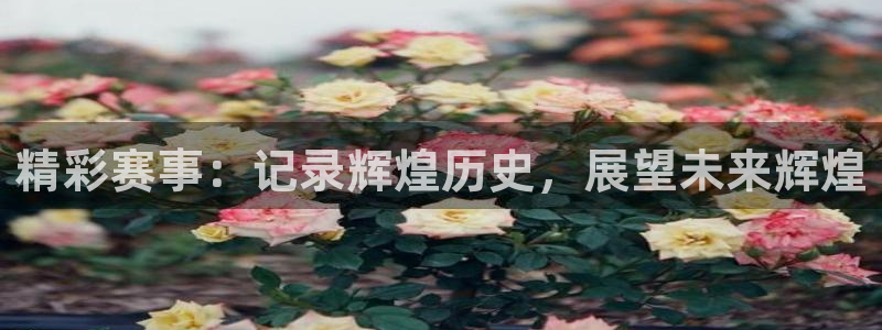 尊龙官网下载平台是正规平台吗安全吗：精彩赛事：记录辉煌历史，