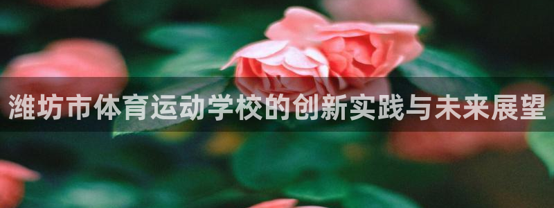 尊龙官网下载招商电话是多少啊：潍坊市体育运动学校的创