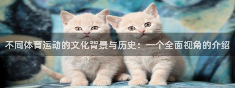 尊龙官网下载招商电话：不同体育运动的文化背景与历史：一个全面