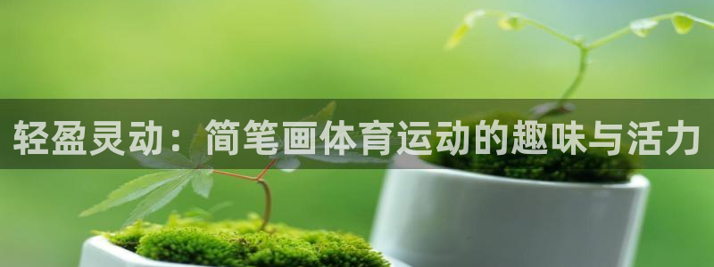 尊龙官网下载招商电话地址查询：轻盈灵动：简笔画体育运动的趣味