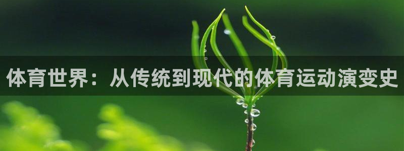 尊龙官网下载招商电话号码查询：体育世界：从传统到现代的体育运