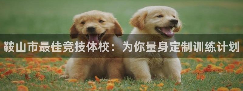 尊龙官方正版app娱乐下载