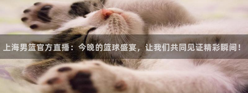 山猫直播体育足球