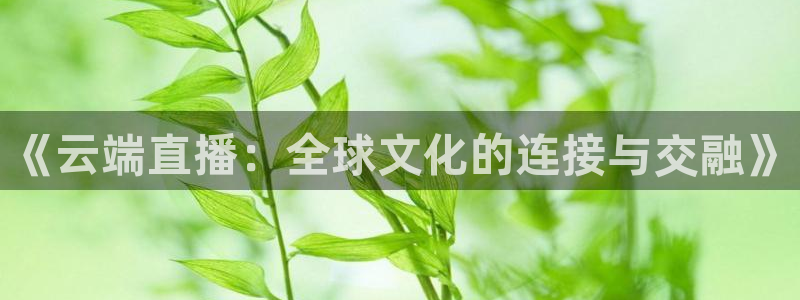 足球山猫运动直播：《云端直播：全球文化的连接与交融》