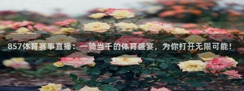 山猫极速体育直播