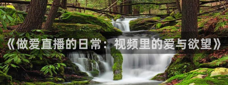 山猫直播足球免费观看高清：《做爱直播的日常：视频里的爱与欲望》