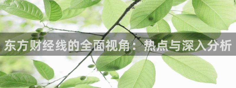 山猫直播体育足球：东方财经线的全面视角：热点与深入分析