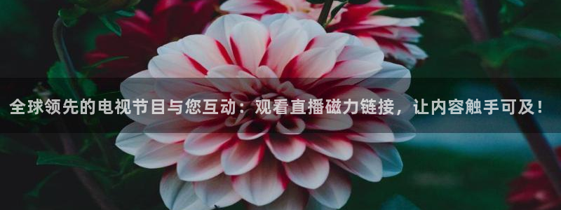 山猫cba直播体育：全球领先的电视节目与您互动：观看直播磁力链接，让内容触手可及！