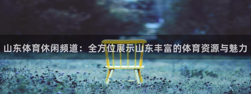 山猫体育赛事直播 免费观看：山东体育休闲频道：全方位展示山东丰富的体育资源与魅力