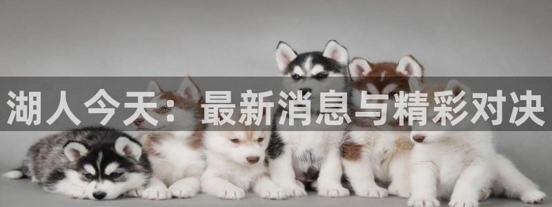 山猫足球直播雨燕直播：湖人今天：最新消息与精彩对决