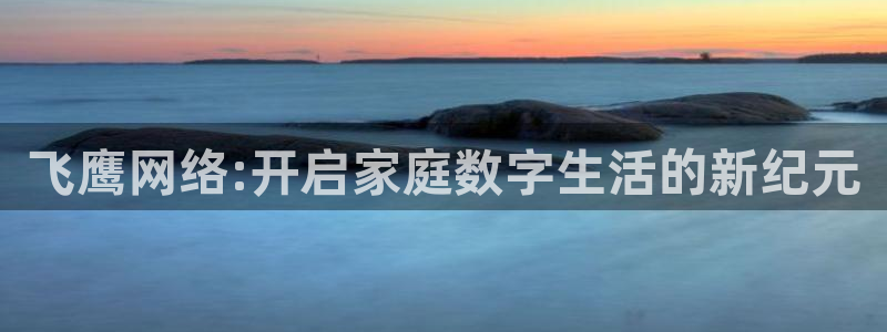 山猫足球赛事直播在线观看视频：飞鹰网络:开启家庭数字生活的新纪元